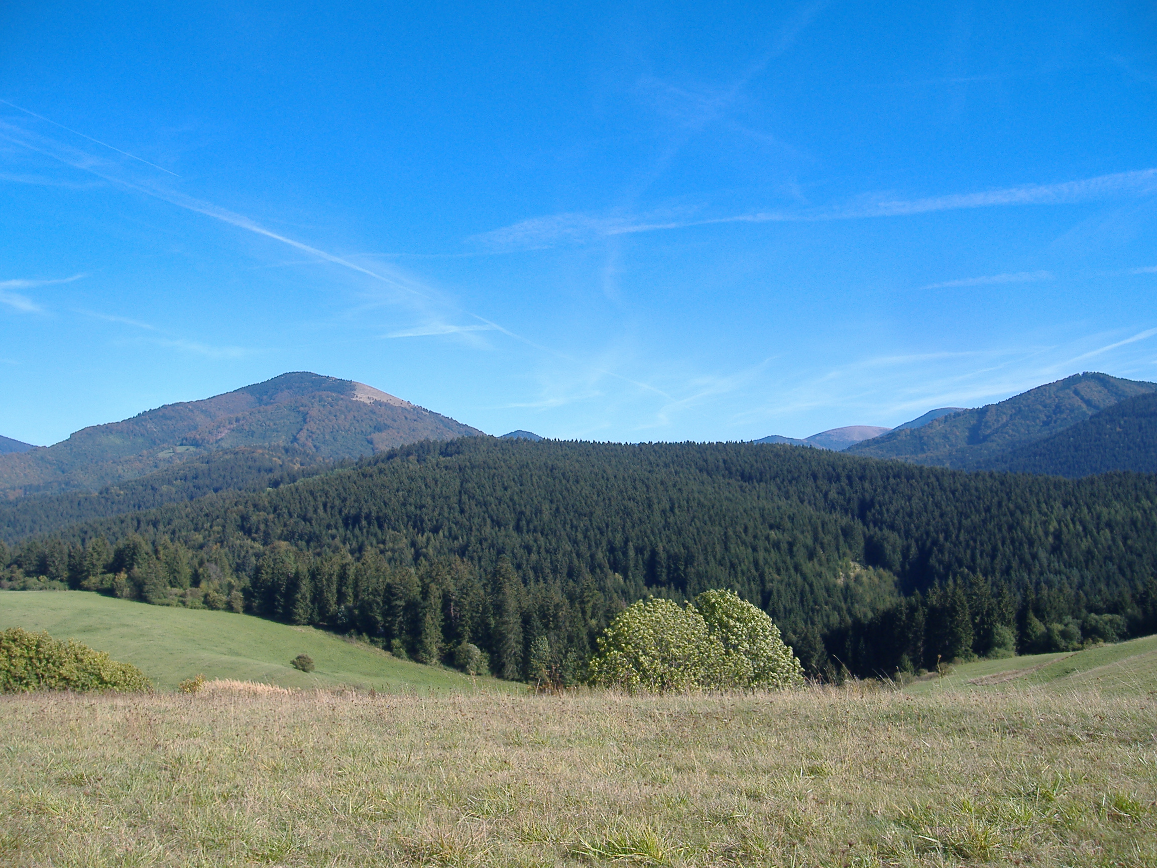 Veľká Fatra, Jasenská dolina, Lysec